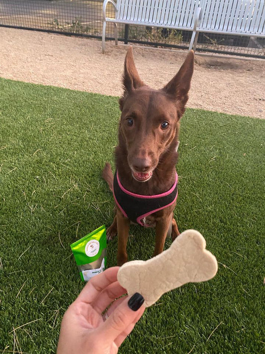 Coco Biscuits– Plant-Based Dog Treats