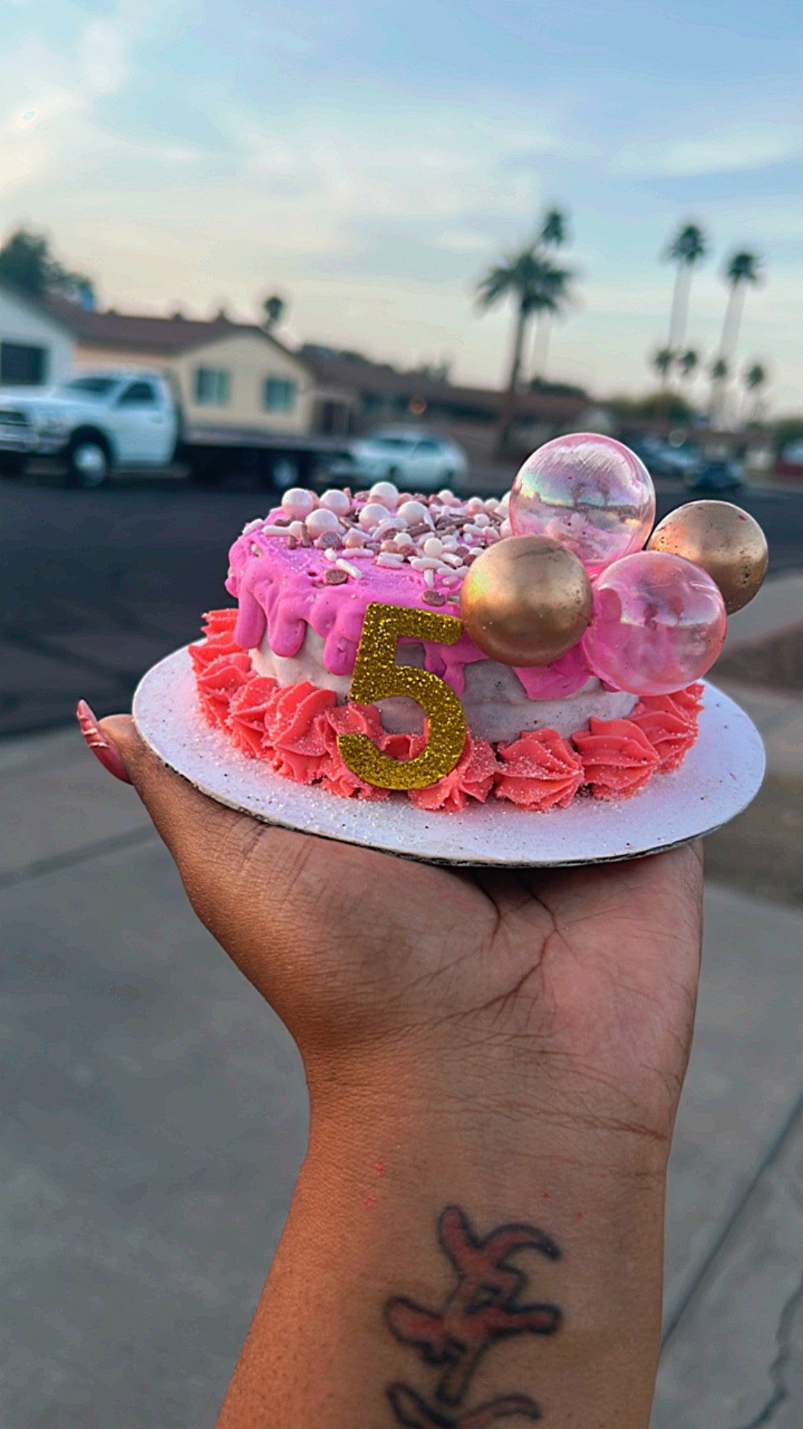 Pup Bento Cake