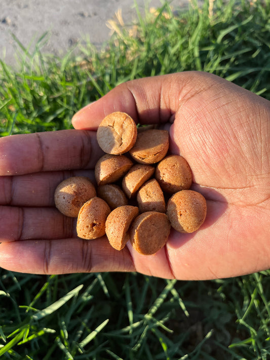 Apple Peanut Butter Bites– Plant-Based Dog Treats