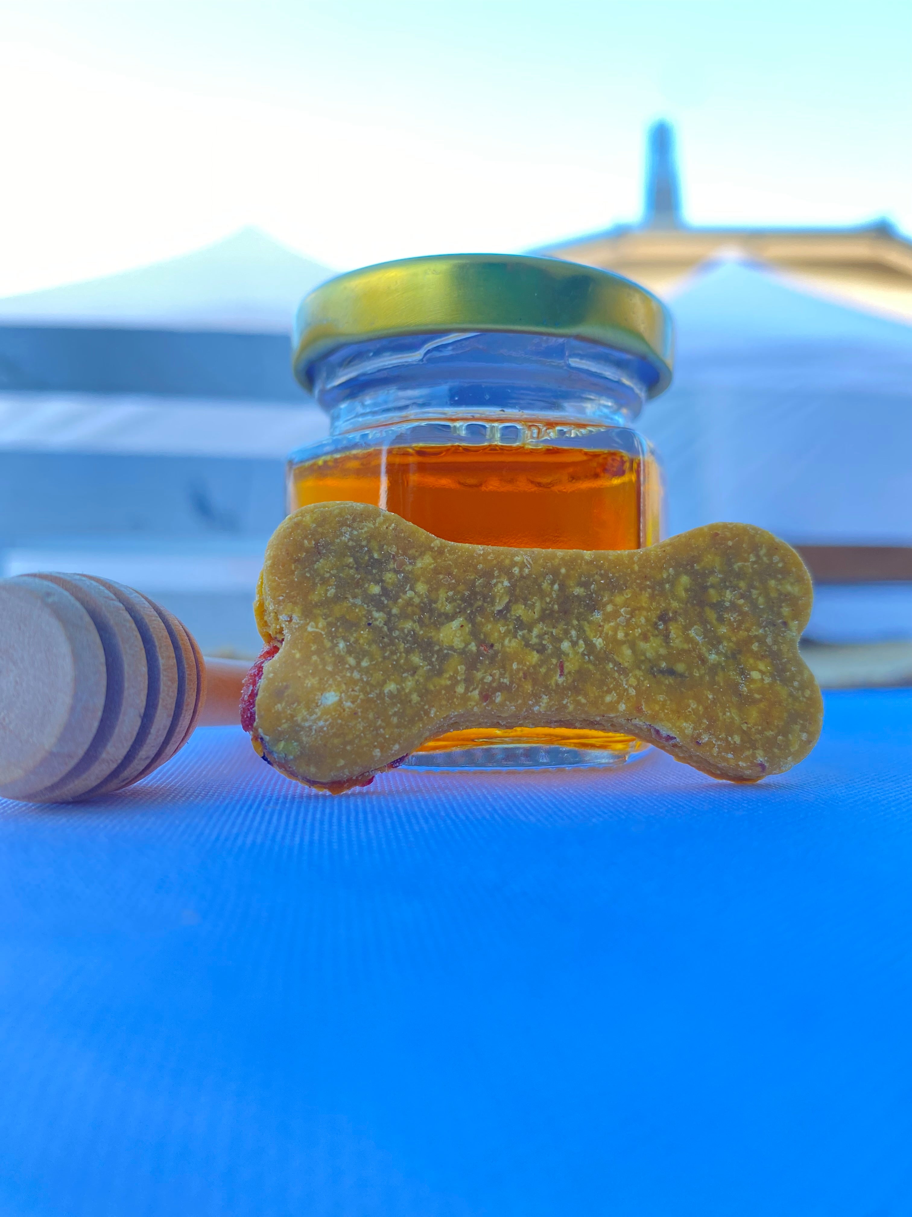 Immunity Boosting Treats