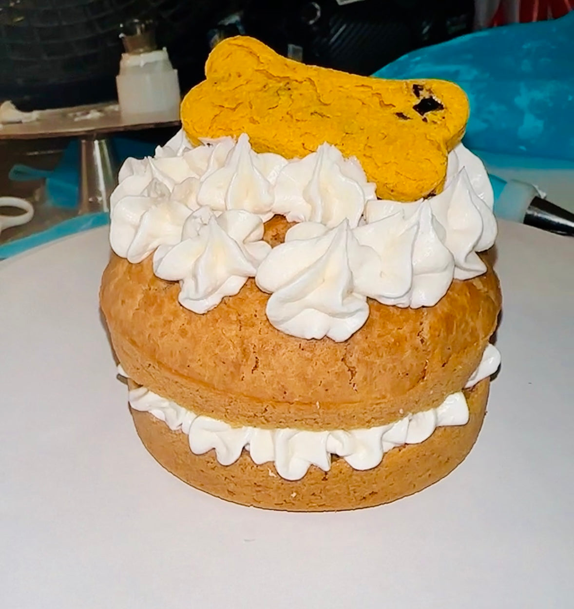 This Can’t Just Be For Dogs, TREATS!