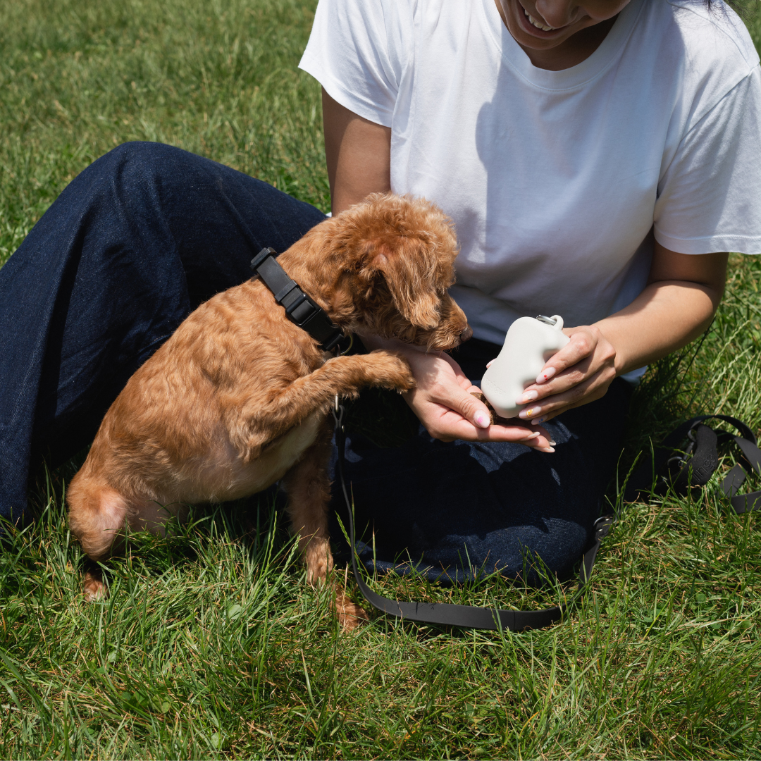 Easy-Squeeze Silicone Dog Treat Pouch Dispenser