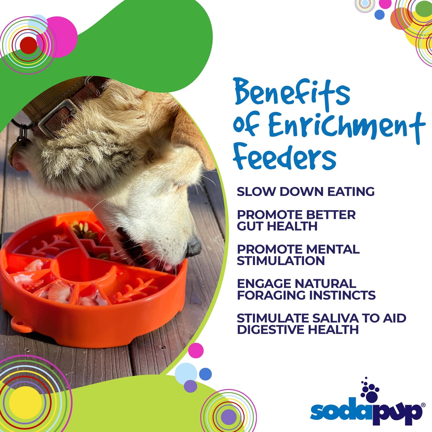 Great Outdoors Enrichment Slow Feeder Bowl