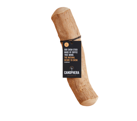 LARGE Coffee Wood Dog chew Sticks for Regular chewers