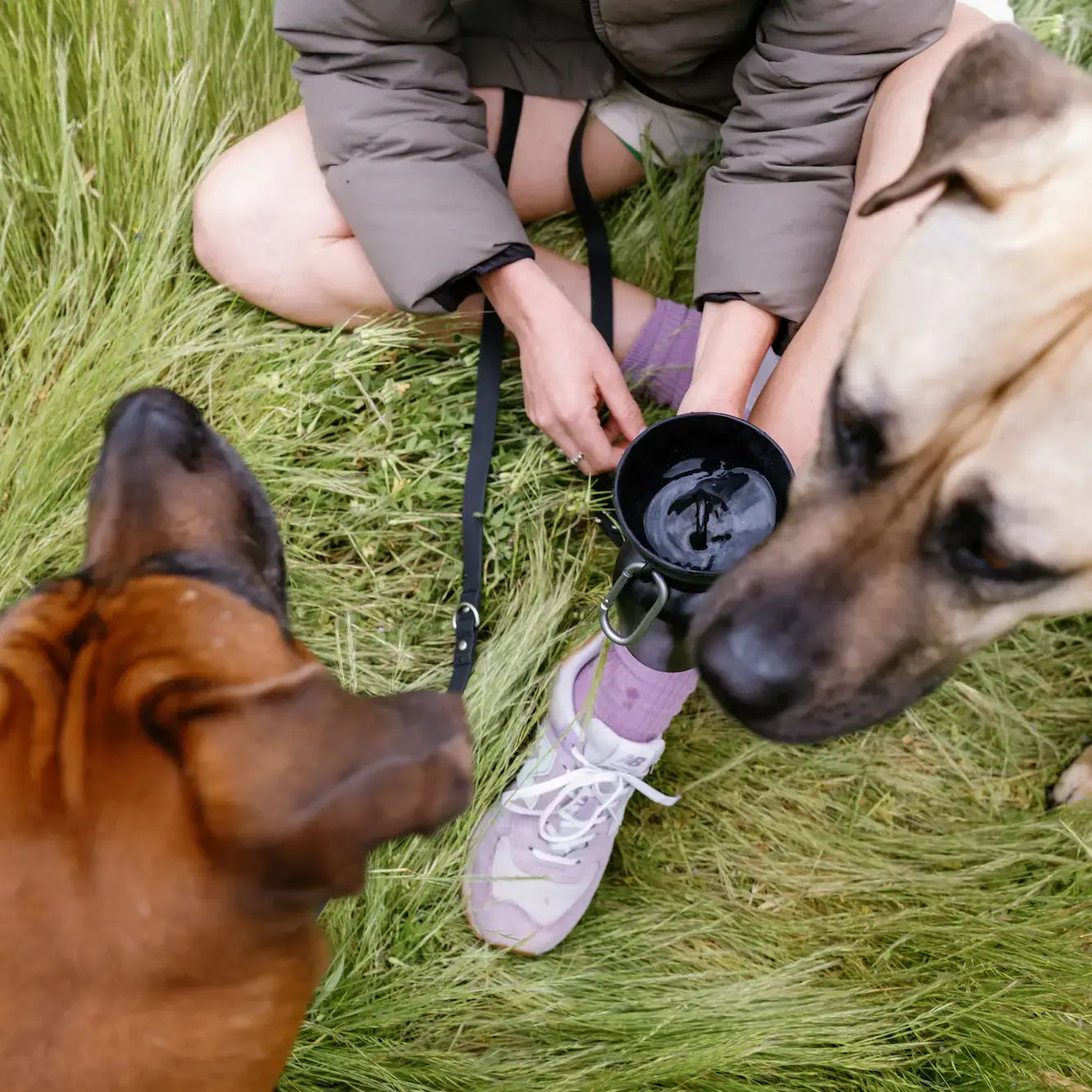 Dog Travel Water Bottle, 20oz, Flip Silicone