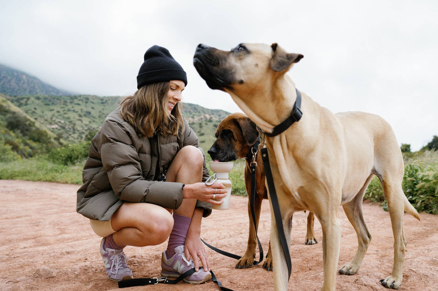 Dog Travel Water Bottle, 20oz, Flip Silicone