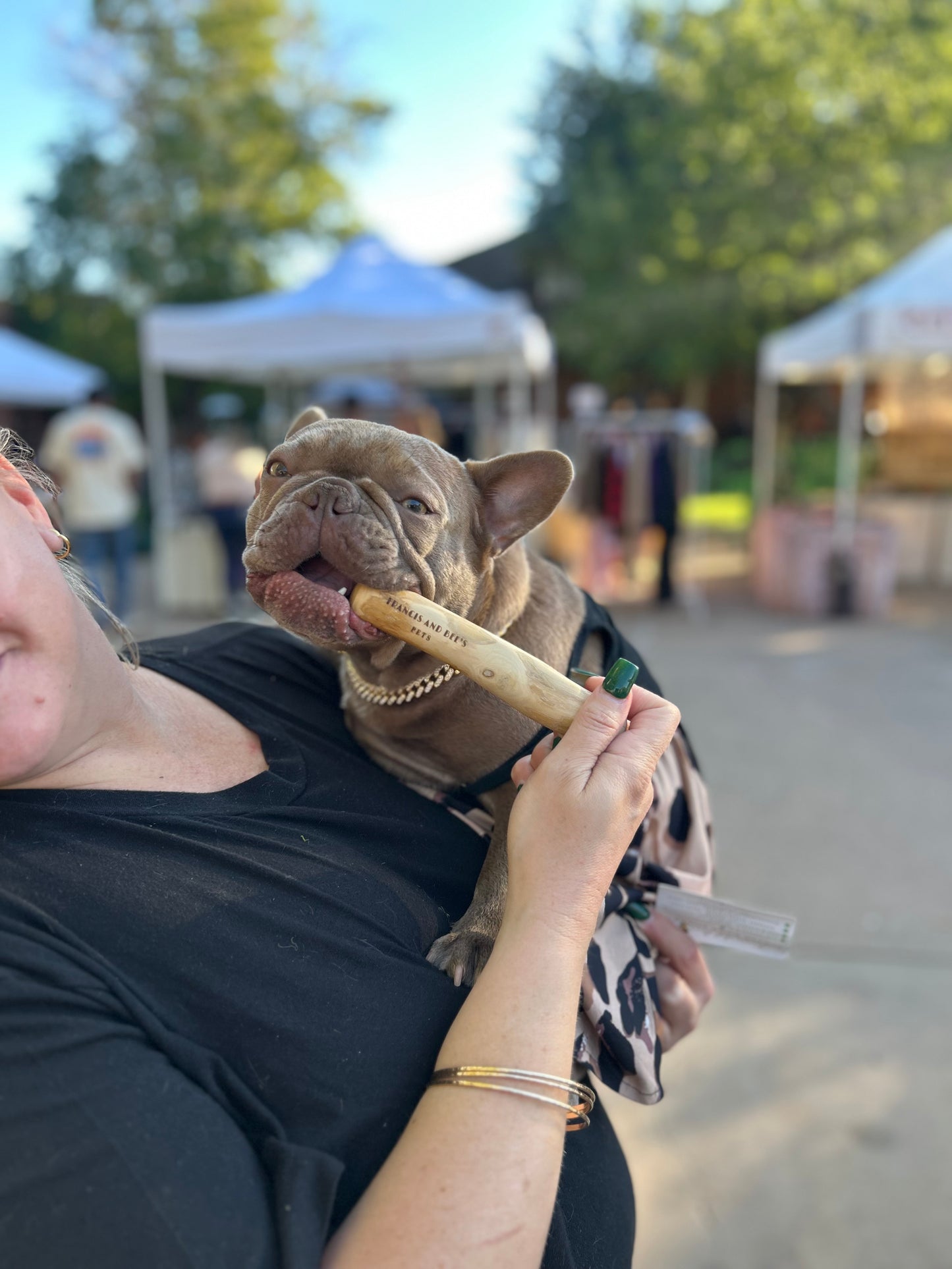 Coffee Wood Dog Chew Sticks