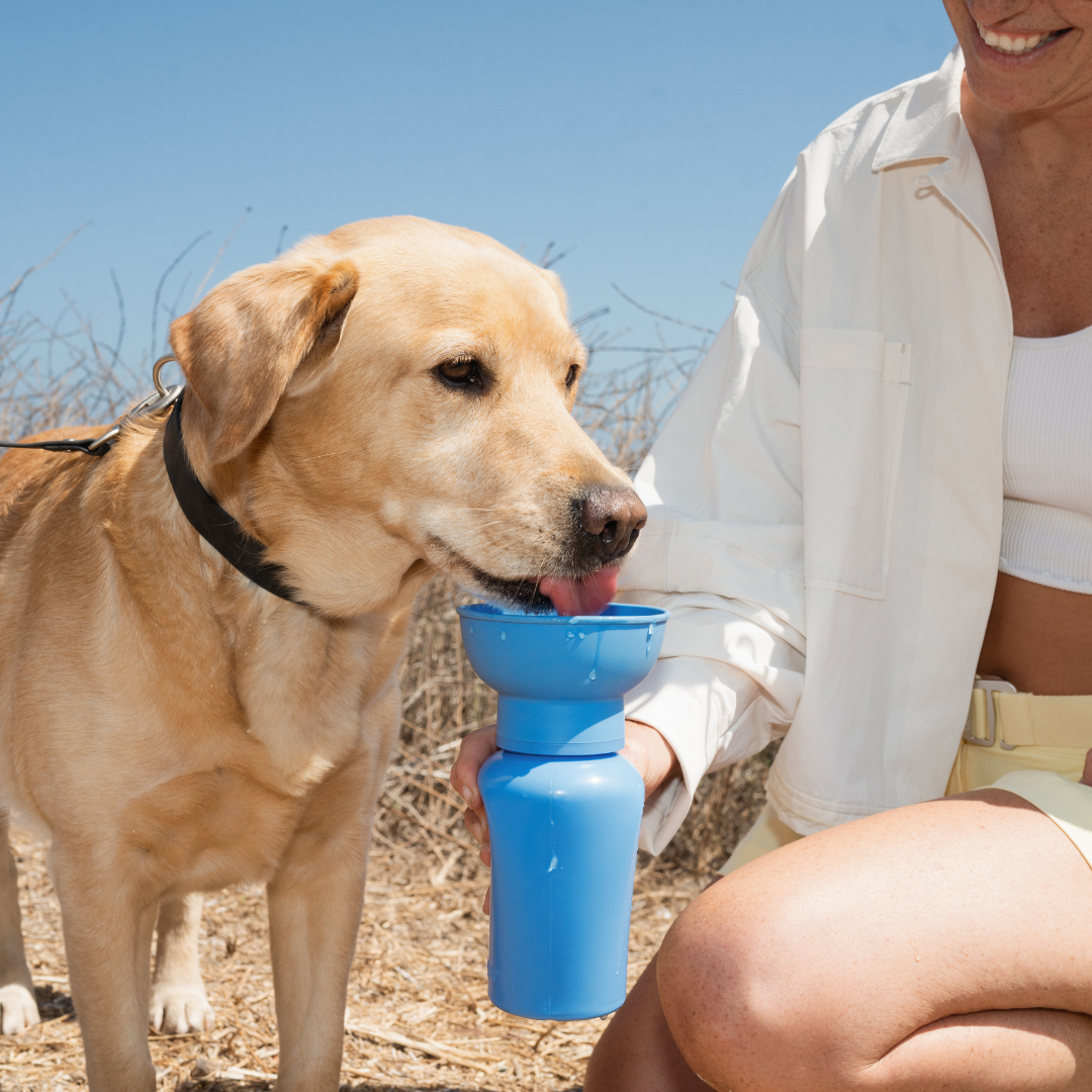 Dog Travel Water Bottle, 20oz, Flip Silicone