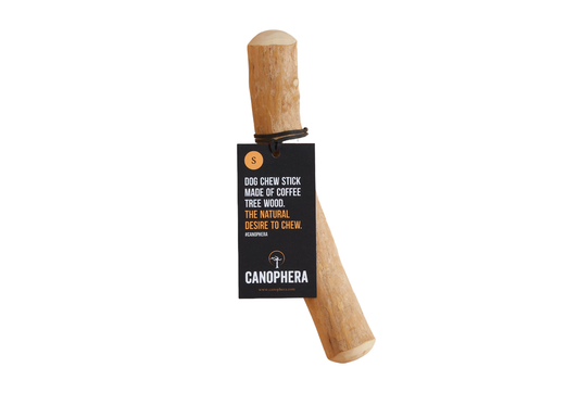 SMALL Coffee Wood Dog chew Sticks for Regular chewers