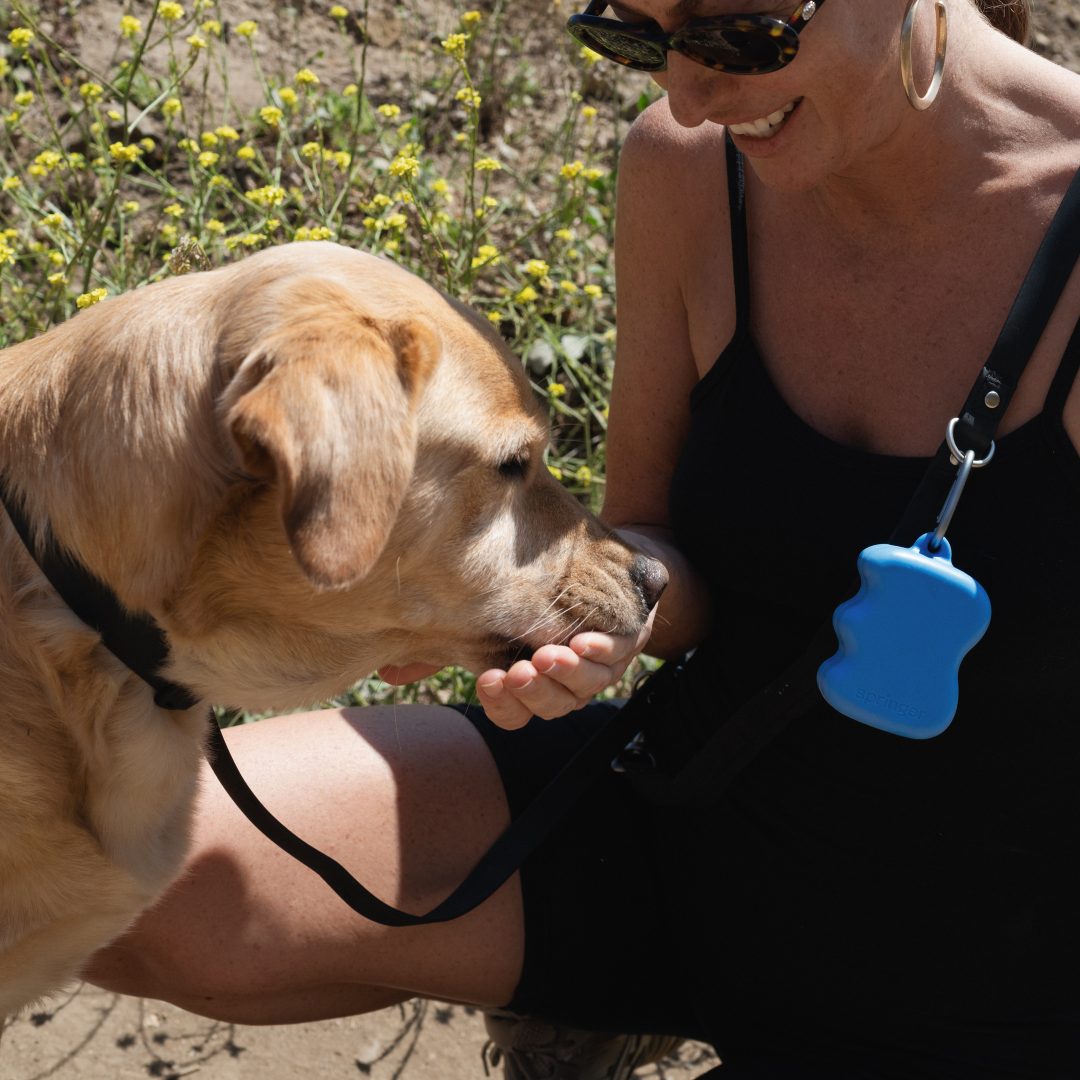 Easy-Squeeze Silicone Dog Treat Pouch Dispenser