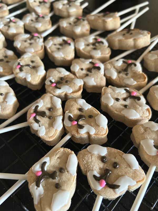 Cake Pups