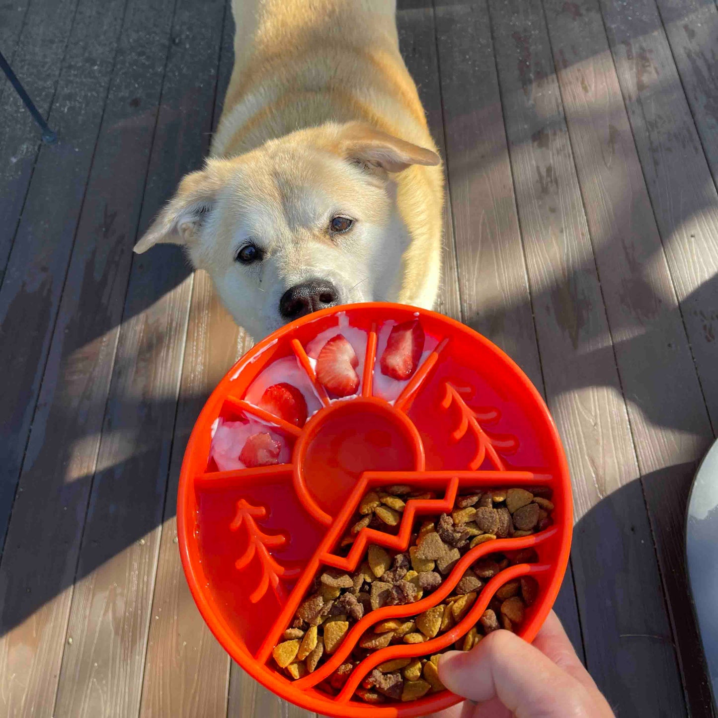 Great Outdoors Enrichment Slow Feeder Bowl