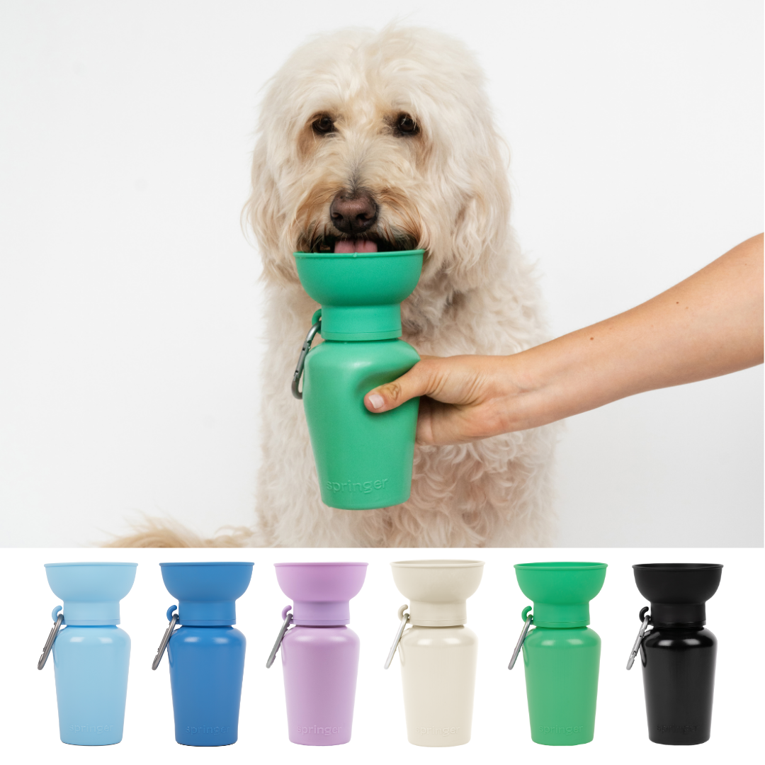 Dog Travel Water Bottle, 20oz, Flip Silicone