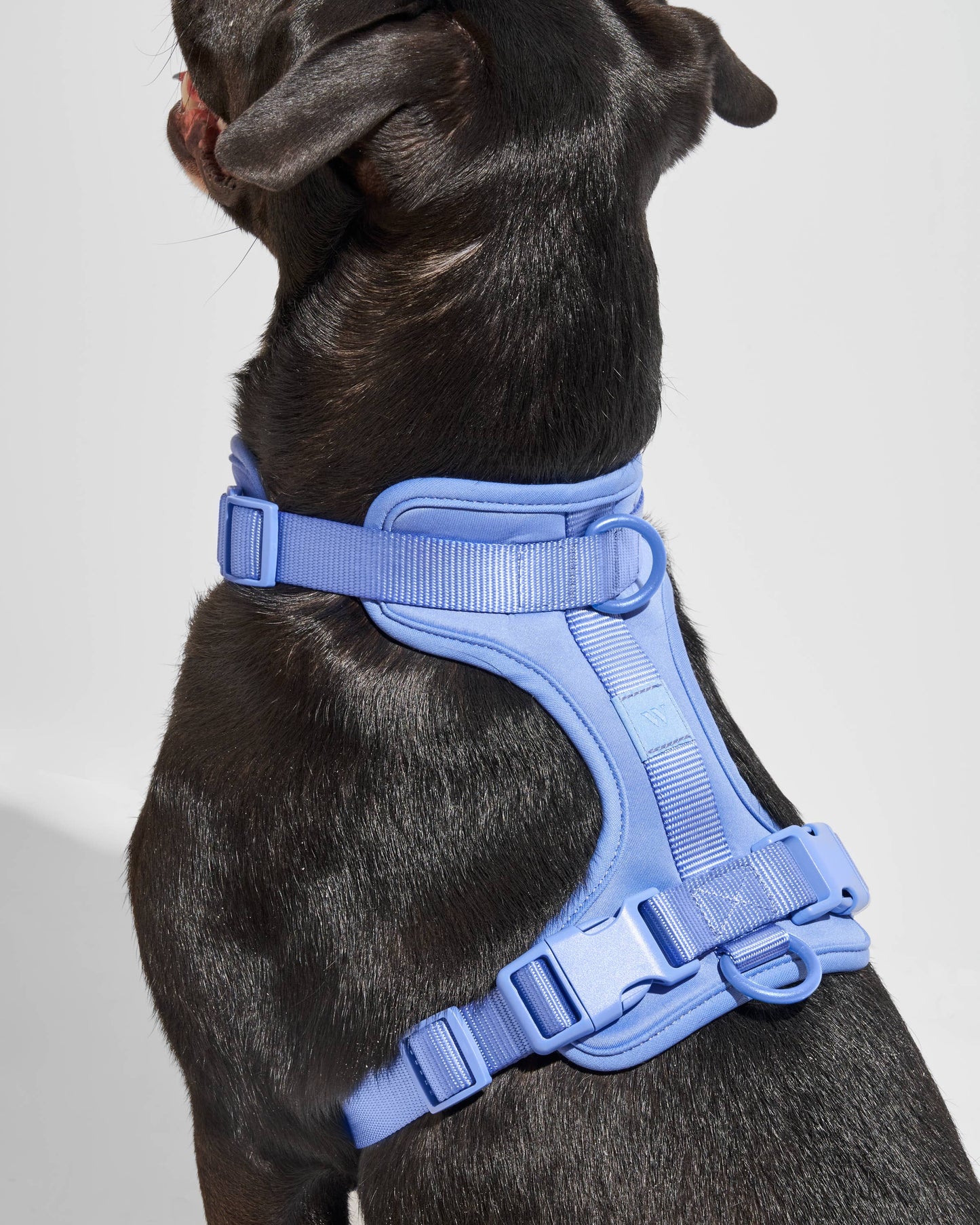 Adjustable Comfort Dog Harness