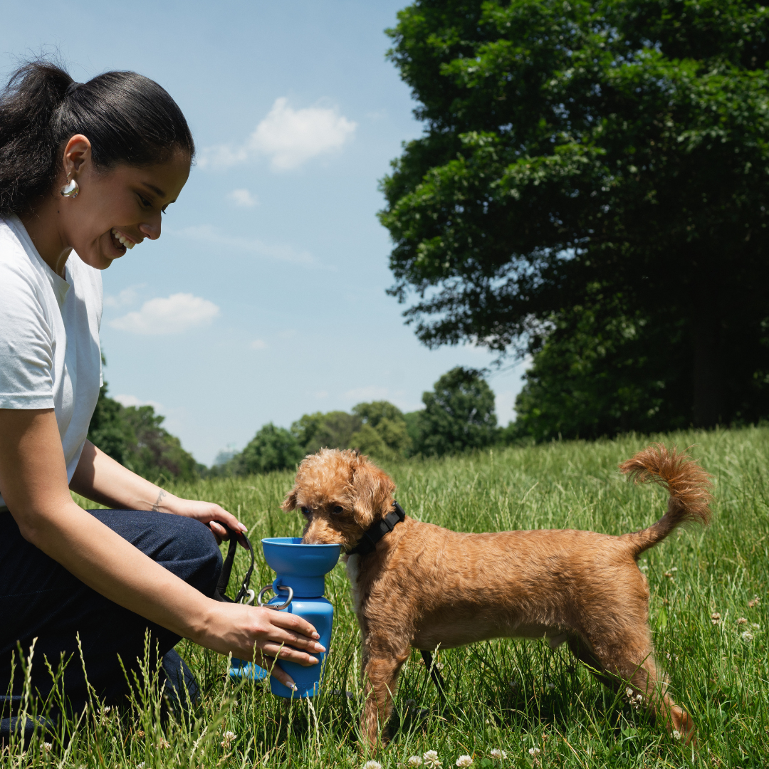 Dog Travel Water Bottle, 20oz, Flip Silicone