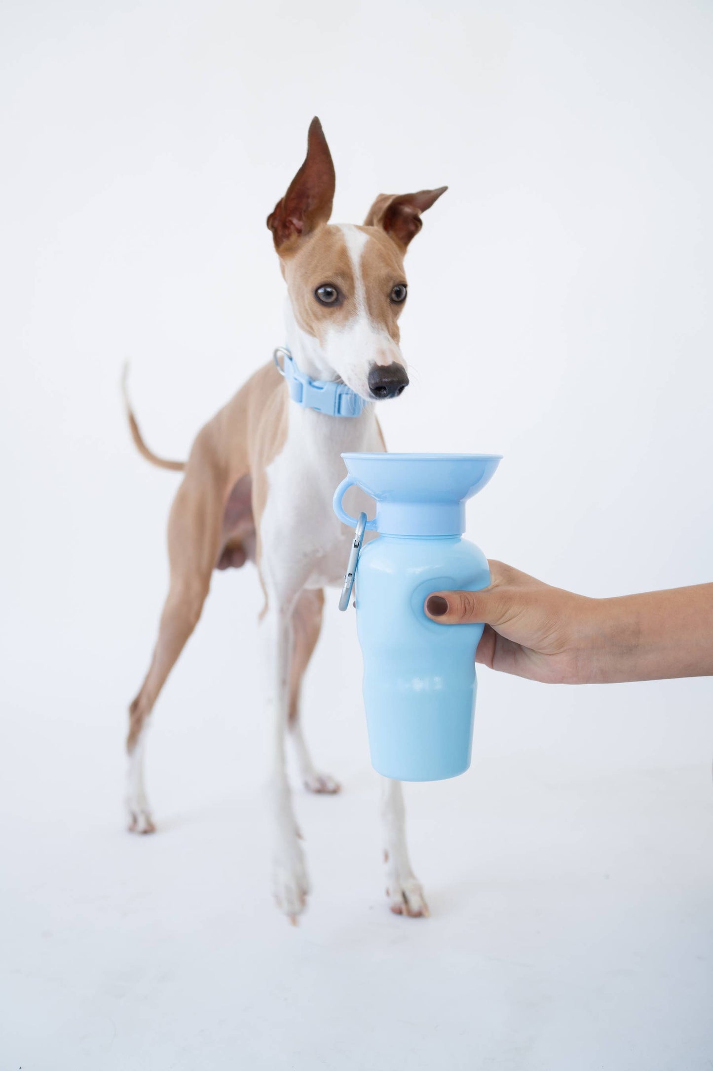 Dog Travel Water Bottle | Classic 22 oz |