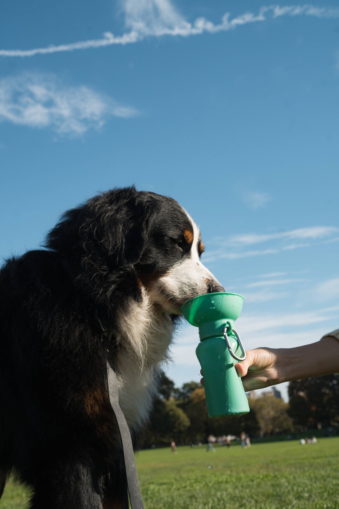 Dog Travel Water Bottle, 20oz, Flip Silicone