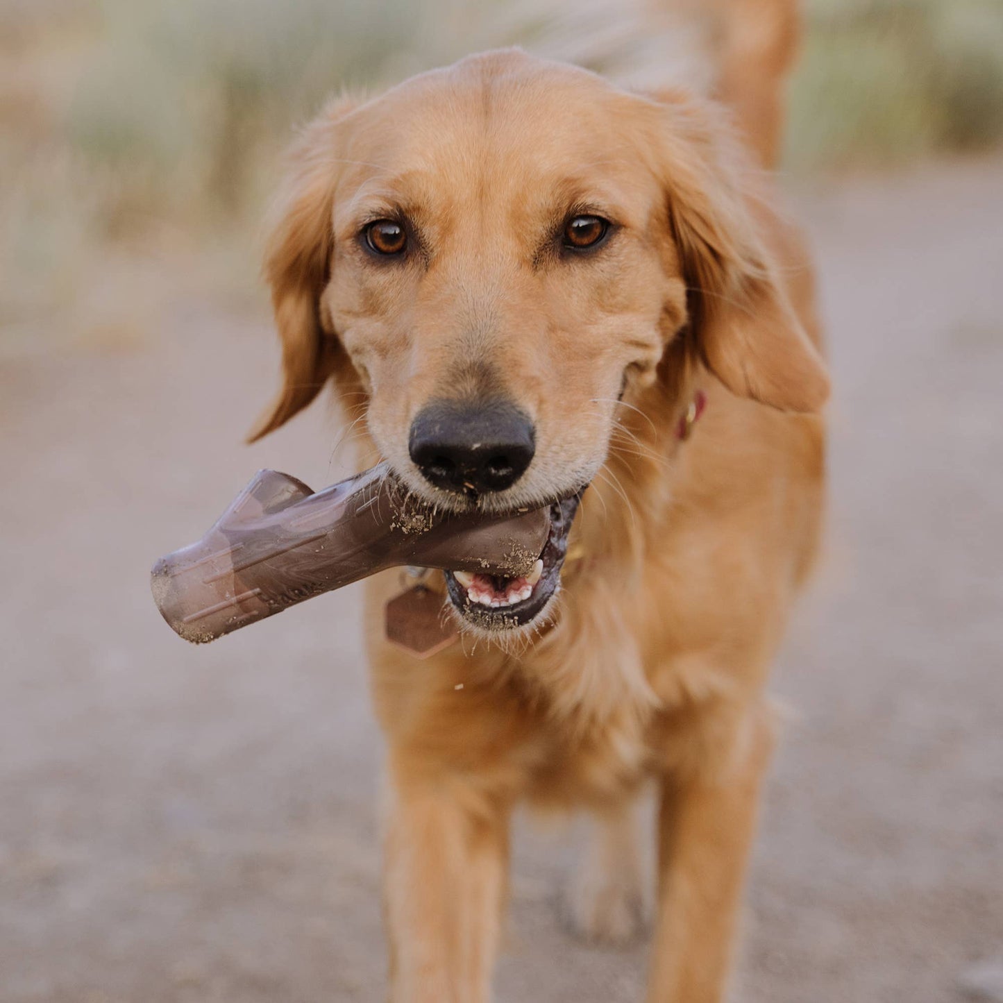 BARK Fall Fetch Stick Super Chewer Dog Toy