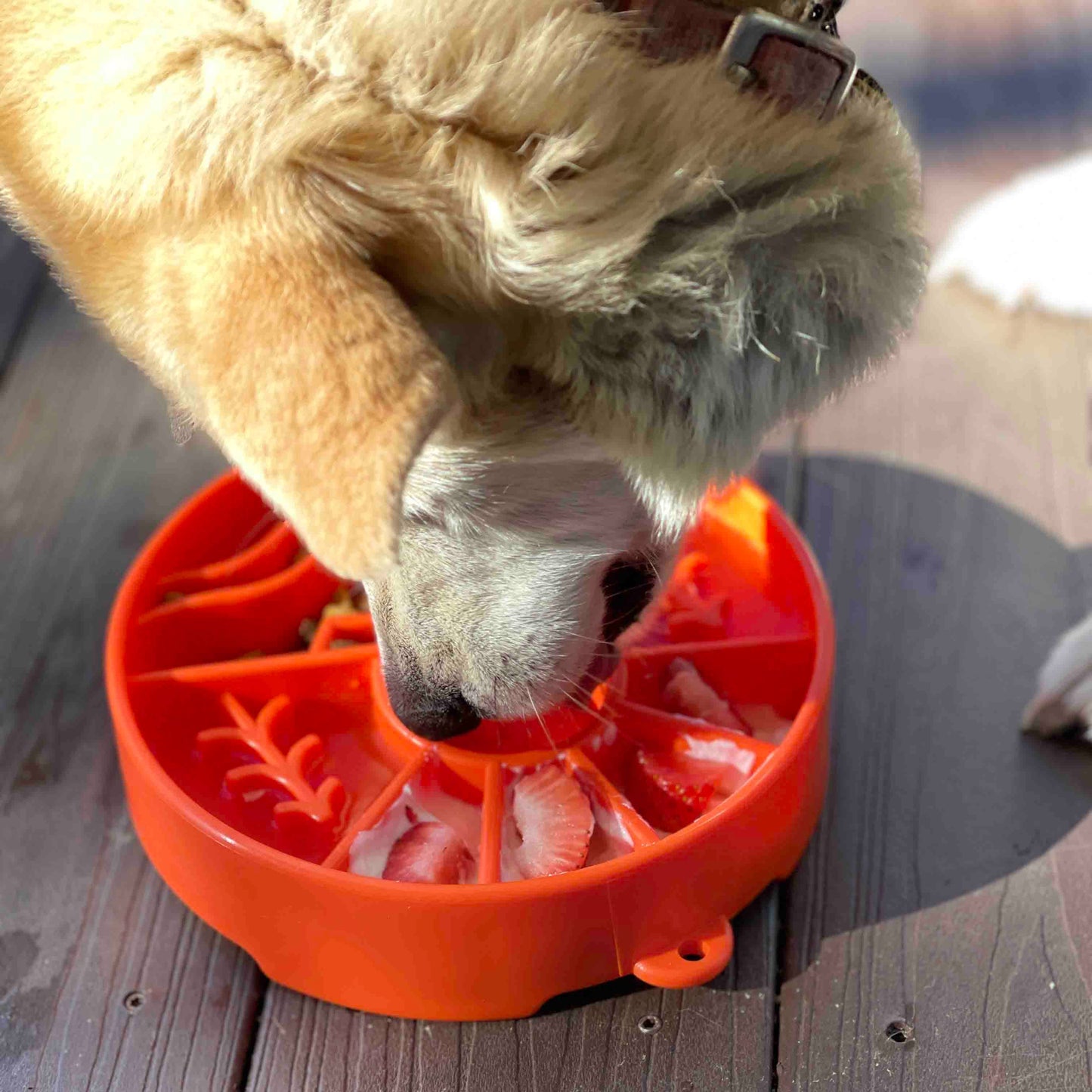 Great Outdoors Enrichment Slow Feeder Bowl