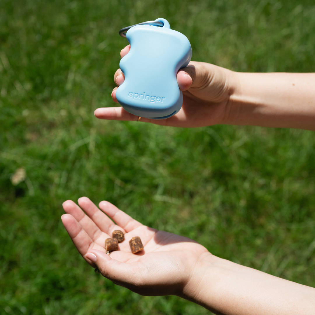 Easy-Squeeze Silicone Dog Treat Pouch Dispenser