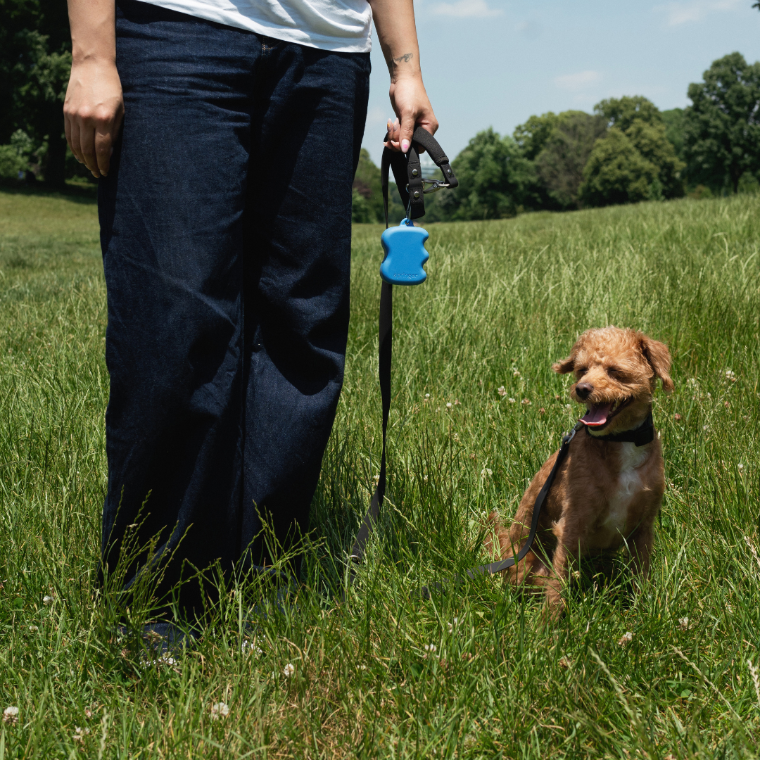 Easy-Squeeze Silicone Dog Treat Pouch Dispenser