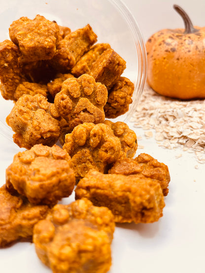 Pumpkin Oat – Plant-Based Dog Treats